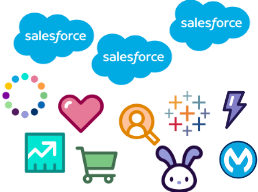 Salesforce Multi-Cloud